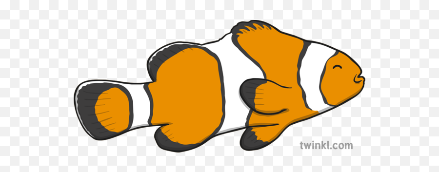 Clown Fish Illustration - Clown Fish Twinkl Png,Clownfish Png