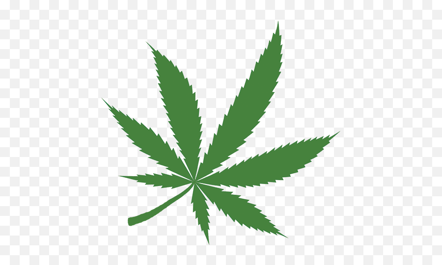 Legal Hemp Puts Pressure - Cannabis Leaf Png,Weed Png