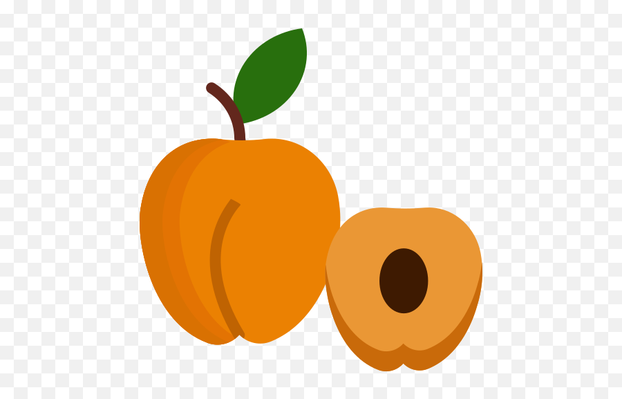 Apricot Food Fruit Fruits Icon - Free Download Fresh Png,Fruits Icon