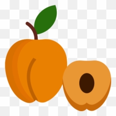 Apricot Food Fruit Fruits Icon - Free Download Fresh Png,Fruits Icon