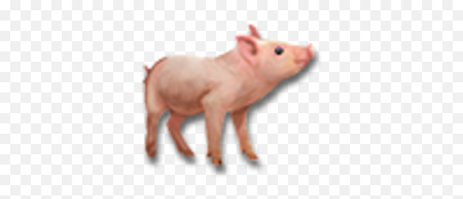 Ginger L Esry Pumpkin Eater - Official Pillars Of Small White Pig Png,Pig Icon