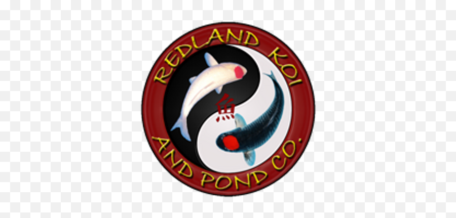 Redland Koi U0026 Pond Redlandkoi Twitter - Koi Png,Kol Icon