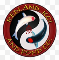 Redland Koi U0026 Pond Redlandkoi Twitter - png