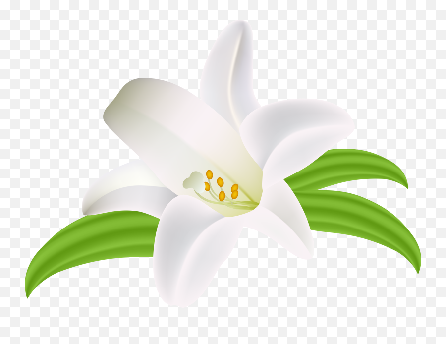 Lilium Flower Png Clipart Image Patrones De Bordado - Portable Network Graphics,Easter Lily Png