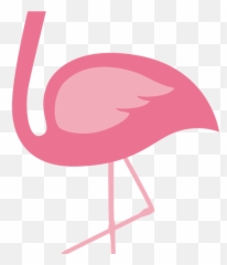 Flamingos Bird Euclidean Vector - Clipart png