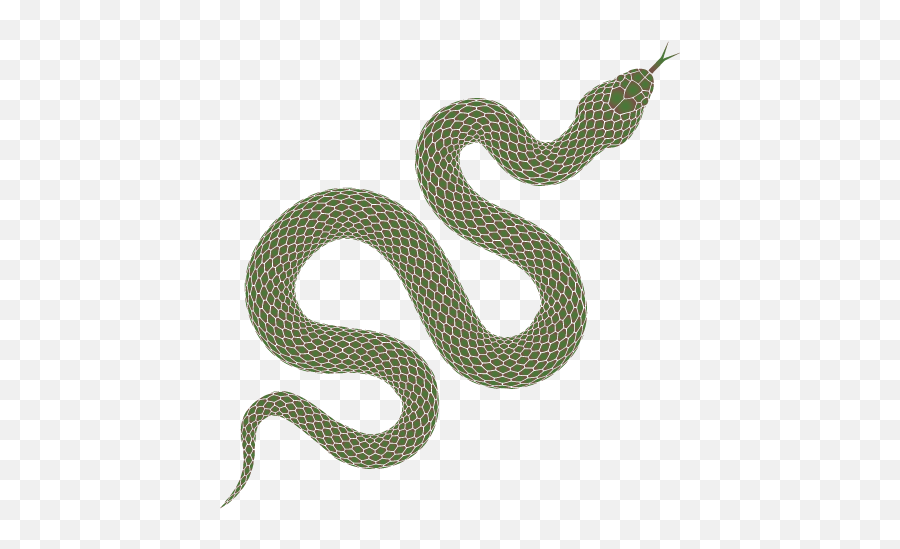 White - Crowned Snake Cacophis Harriettae Back To Bush Snake Icon Svg Png,Serpent Icon