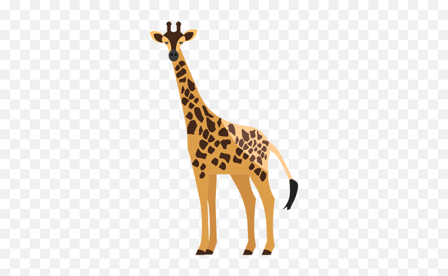 Giraffe Side View Flat - Transparent Png U0026 Svg Vector File Giraffe,Giraffe Transparent Background