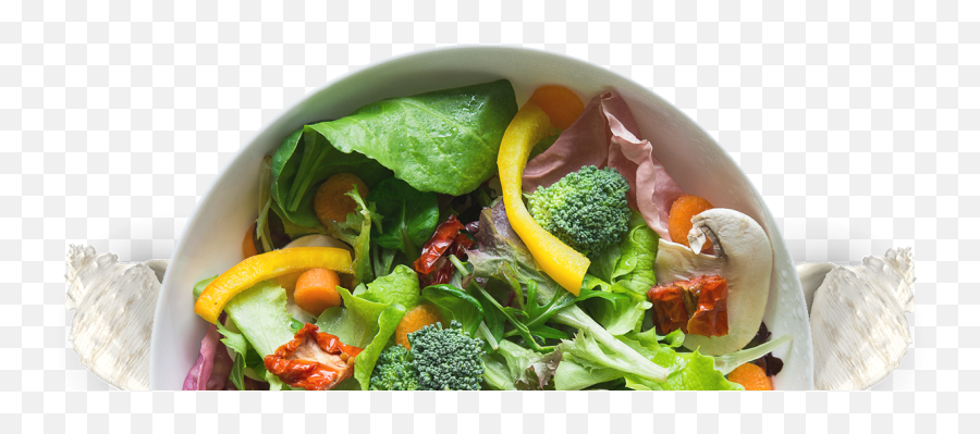 Salad Bowl Png 4 Image - 60 Seconds Salad Cutter Bowl,Salad Bowl Png