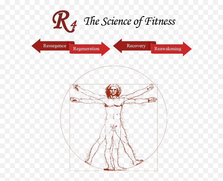 R4 - Leonardo Da Vinci Png,Vitruvian Man Png