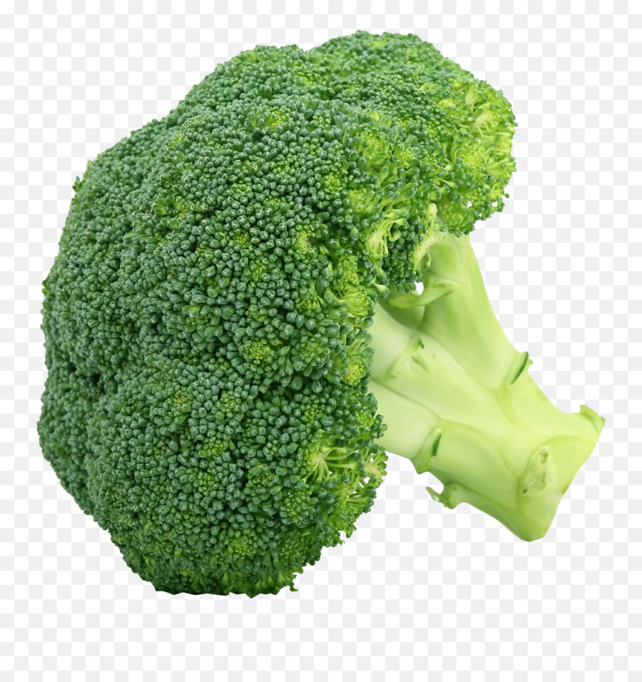 Png Transparent Broccoli - Broccoli Vegetables,Brocolli Png