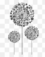 Freetoedit 3 Dandelions Png Transparentbackg - Dandelion
