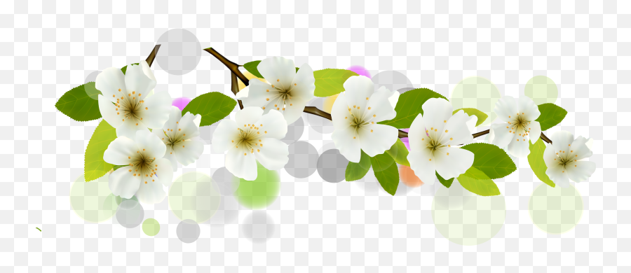 Download Hd Flower Euclidean Vector White Banner - Floral Vector Flower Banner Png,White Flower Png