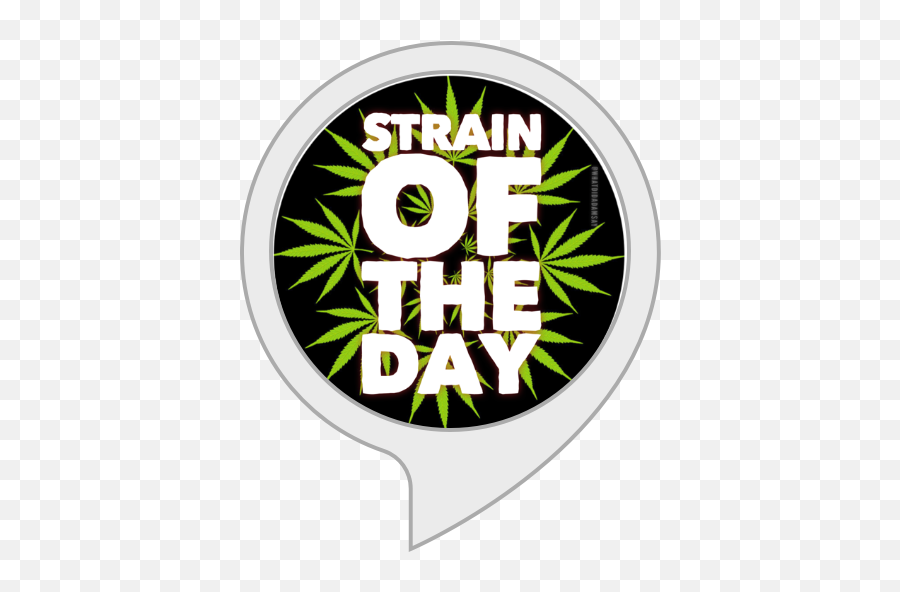 Amazoncom Strain Of The Day Holy Grail Kush Alexa Skills - Circle Png,Holy Grail Png