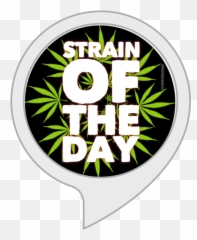 Amazoncom Strain Of The Day Holy Grail Kush Alexa Skills - Circle png