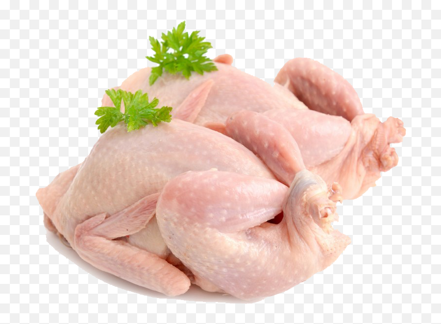 Right Farms - Fresh Chicken Meat Png,Quail Png