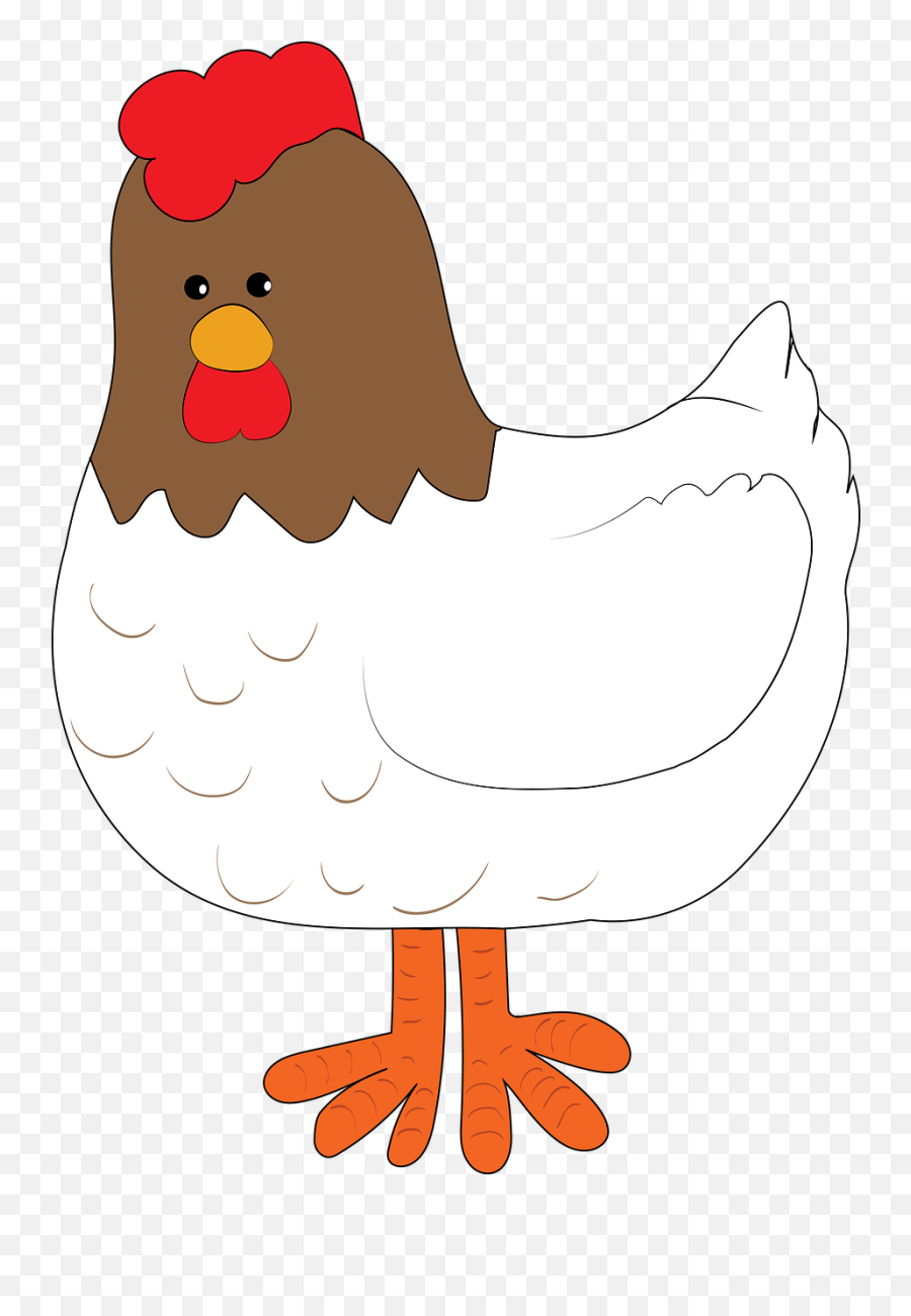 Hen Farm Chicken - Free Image On Pixabay Galinha Png,Hen Png