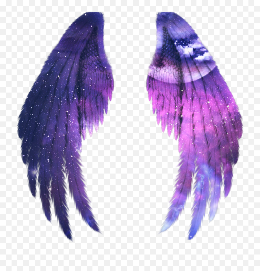 Fairy Wing Png - Wings Galaxy Alas Fairy Gold Angel Angel Wings In Picsart,Fairy Wings Png
