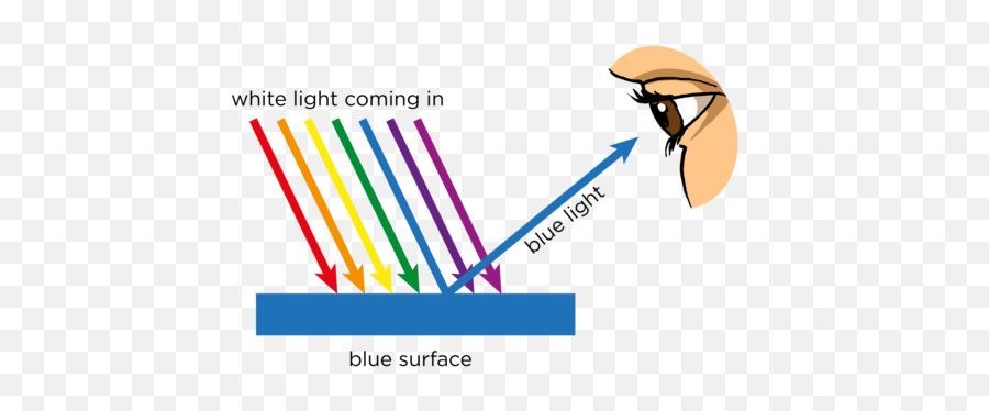 Opaque And Transparent Substances Visible Light Siyavula - Absorption Ray Diagram Png,Light Transparent