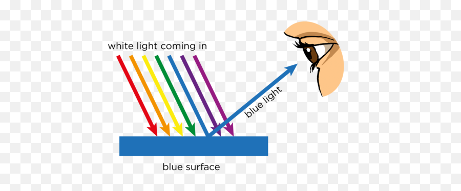 Opaque And Transparent Substances Visible Light Siyavula - Absorption ...