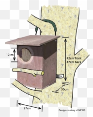 Wildlife Rescue - For Genuine 24hour Rescues Make A Possum Box Png,Possum Transparent