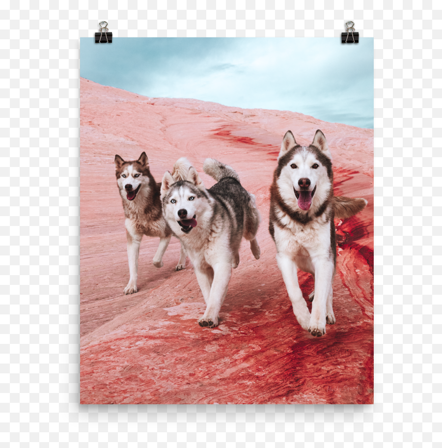 The Rock Poster - Canadian Eskimo Dog Png,Husky Transparent