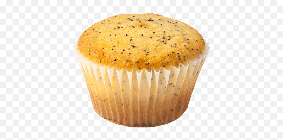 Png Background - Poppy Seed Muffin Png,Muffin Png