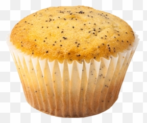 Png Background - Poppy Seed Muffin Png,Muffin Png