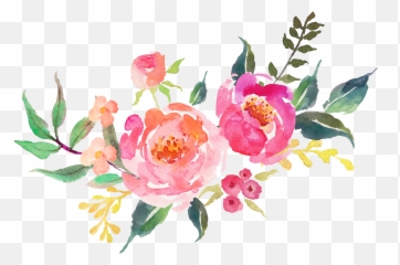Watercolor Flower - Transparent Free Flowers png