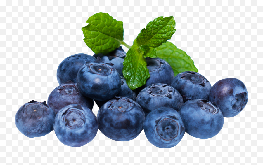 Download Blueberry With Leaf Png Image - Blueberries Png,Berry Png