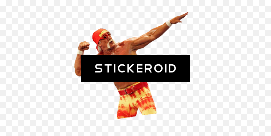 Hulk Hogan Wwe - Bodybuilding Full Size Png Download Seekpng Hulk Hogan Wwe,Hulk Hogan Transparent