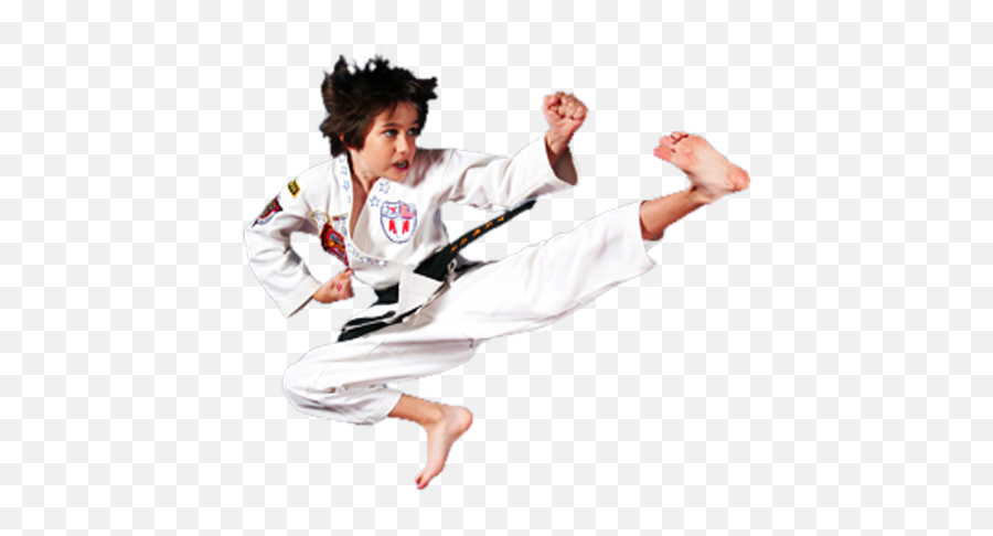 Martial Arts - Taekwondo Martial Arts Kids Png,Karate Kid Logo