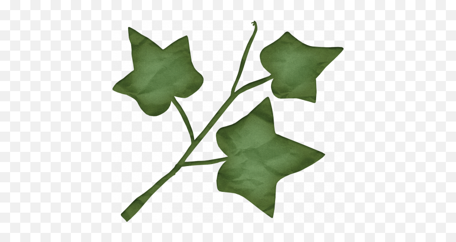 Butterfly Spring - Leaf 1 Graphic By Dawn Prater Pixel Lovely Png,Ivy Leaf Png
