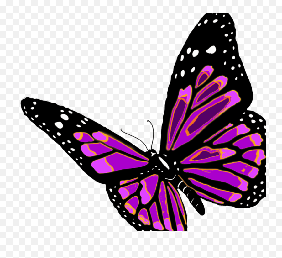 Flying Butterfly Images Clipart - Butterfly With Transparent Transparent Background Transparent Flying Butterfly Png,Butterfly Flying Png