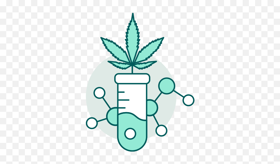 Tests V4 U2014 Cannabinoid Industry Consultants - Triffid Bioscience Hemp Png,User Test Icon Png