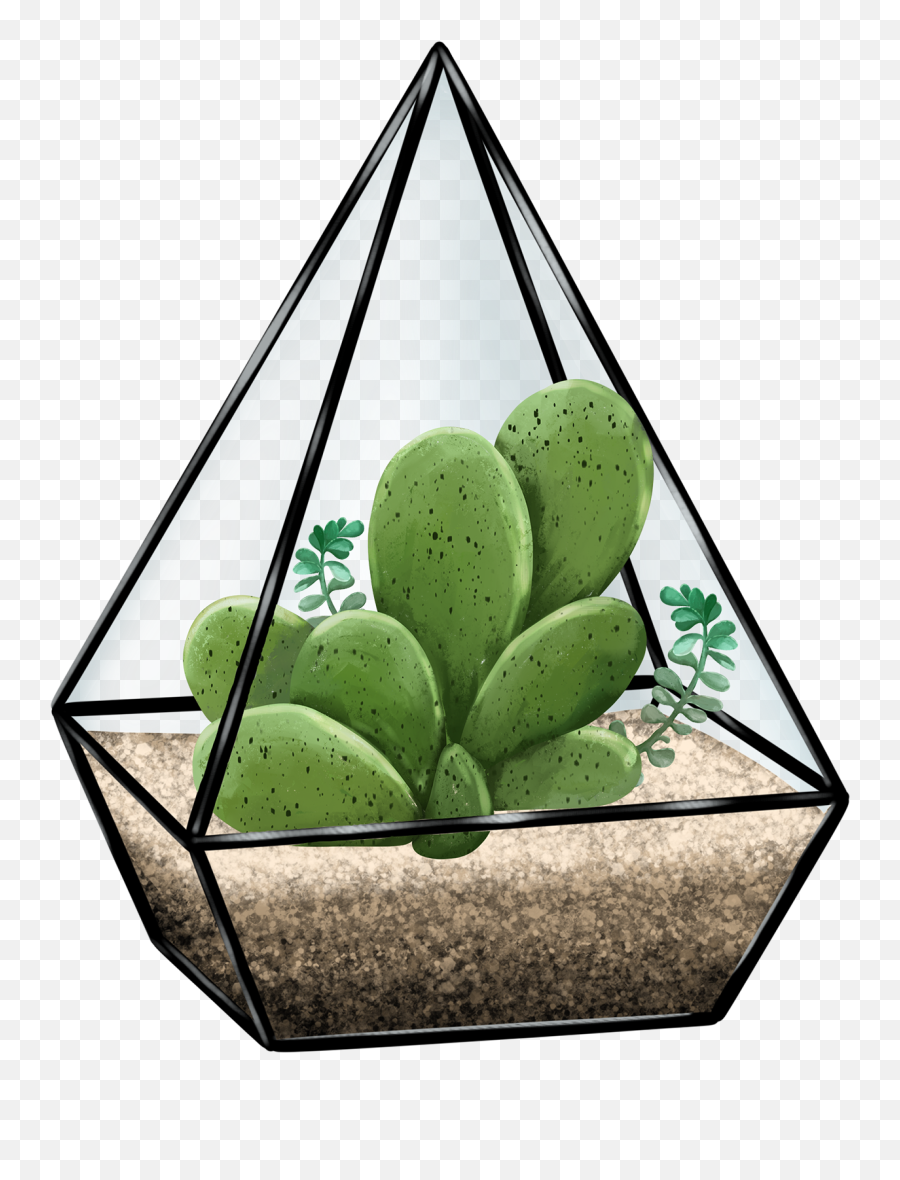 Succulent Terrarium Illustration Design Cactus - Vertical Png,Succulent Icon Transparent
