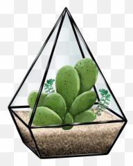 Succulent Terrarium Illustration Design Cactus - Vertical Png,Succulent Icon Transparent
