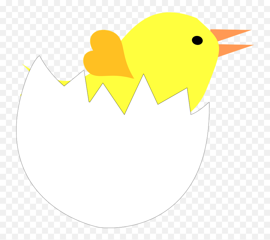 Egg Chick Eggshell - Free Vector Graphic On Pixabay Kaip Nupiesti Visciuka Kiausinis Png,Cracked Egg Png