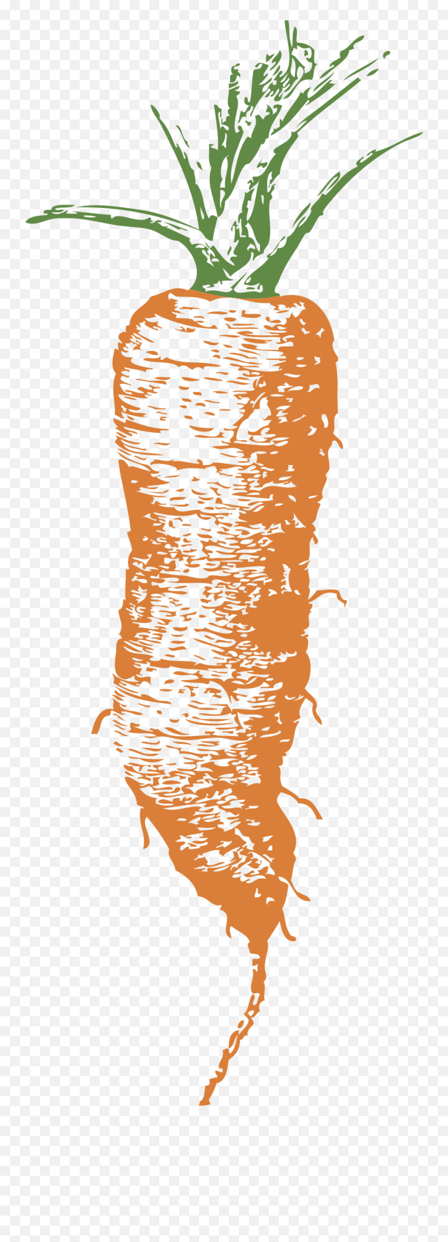Carrot Png Images Carrots Clipart Free Download - Free Ibsen Babygulrot,Carrot Transparent Background