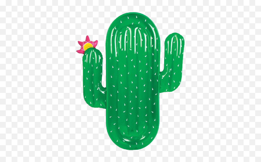 Cactus - Cactus Inflatable Png,Pool Float Png