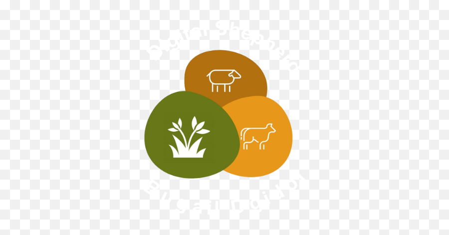 Digital Shepherd Bridgend Reach Rural Development - Illustration Png,Icon Shepherd