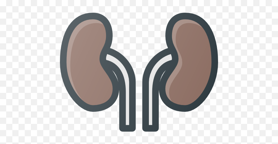 Free Icon Kidneys - Language Png,Kidney Icon