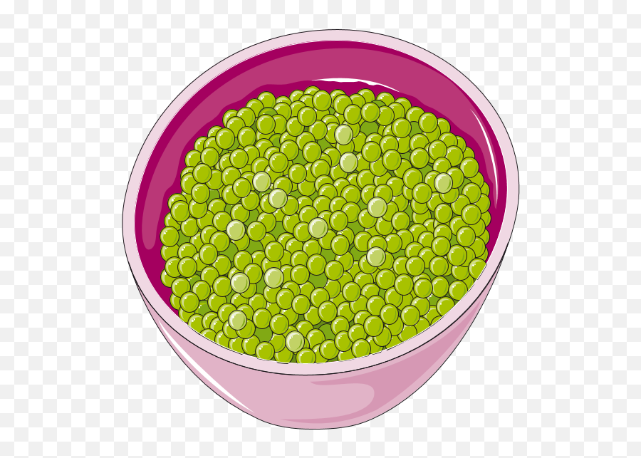 Filegreen Peas Clip Artpng - Wikimedia Commons Green Peas Clip Art,Peas Png