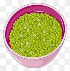 Filegreen Peas Clip Artpng - Wikimedia Commons Green Peas Clip Art,Peas Png