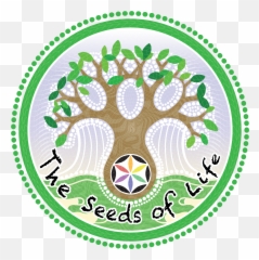 The Seeds Of Life Cafe U2013 Raw Food In Bali My - Seeds Of Life Png,Seed Png