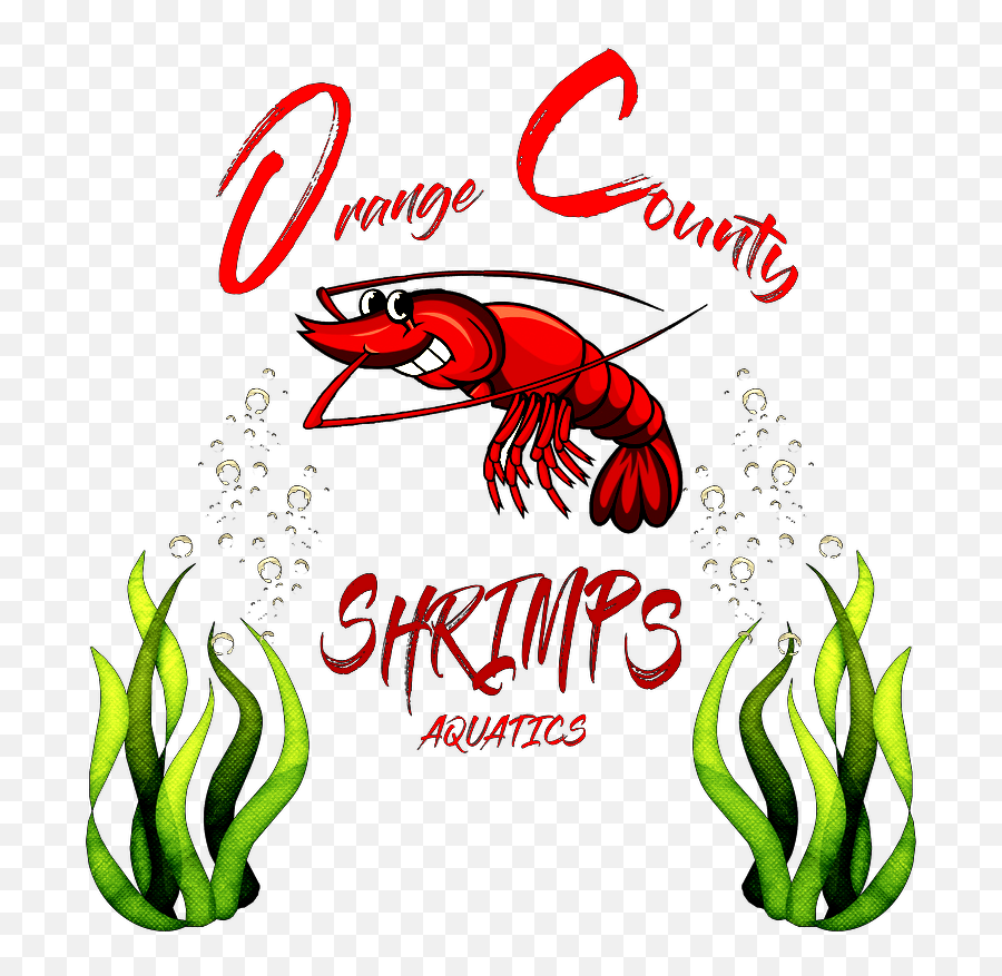 Exotic Shrimp Dealer Oc Shrimps - Shrimp Png,Shrimp Png