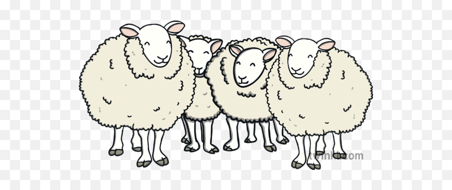 Flock Of Sheep Animals Farm Animal Ks1 Illustration - Twinkl Sheep From Animal Farm Png,Sheep Png