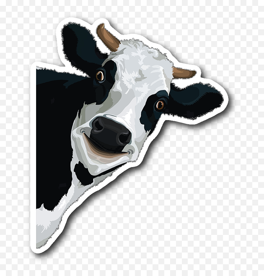 Funn Cow Face Sticker - Black And White Smiling Cow Png,Cow Face Png