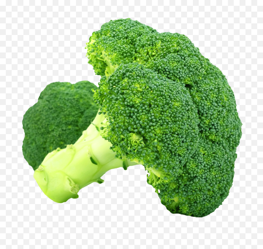 Brocolli Png Image - Broccoli Png Transparent,Brocolli Png