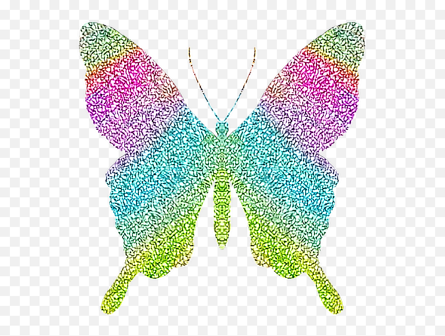 Mq Butterfly Butterflys Glitter - Glitter Butterfly Png,Real Butterfly Png