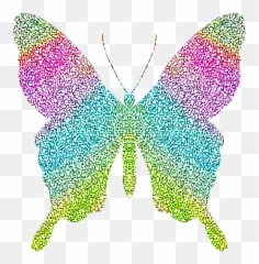 Mq Butterfly Butterflys Glitter - png